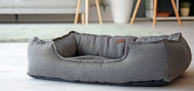 <h1>Top 3 dog beds</h1>