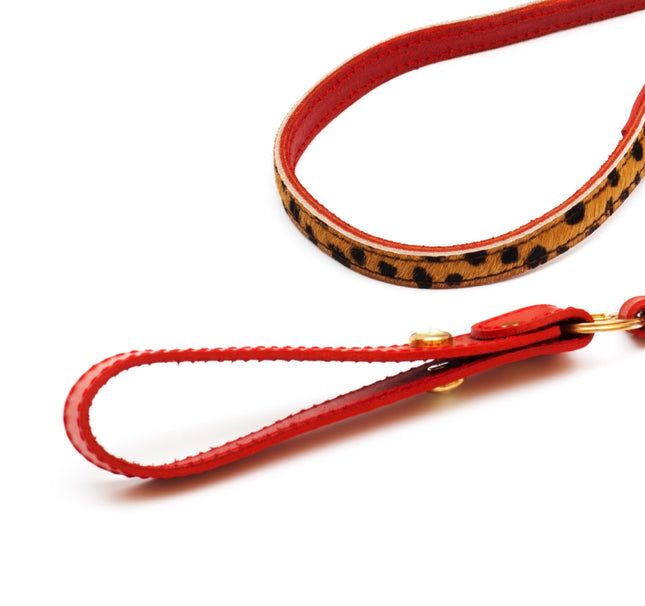 Cat leash panter print