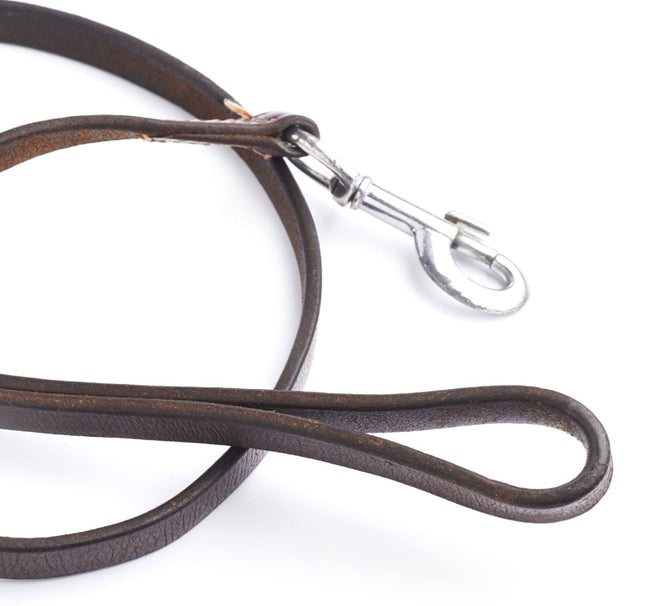 Brown leather dog leash