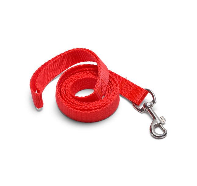 Flashy red leash