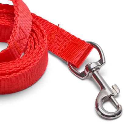 Flashy red leash