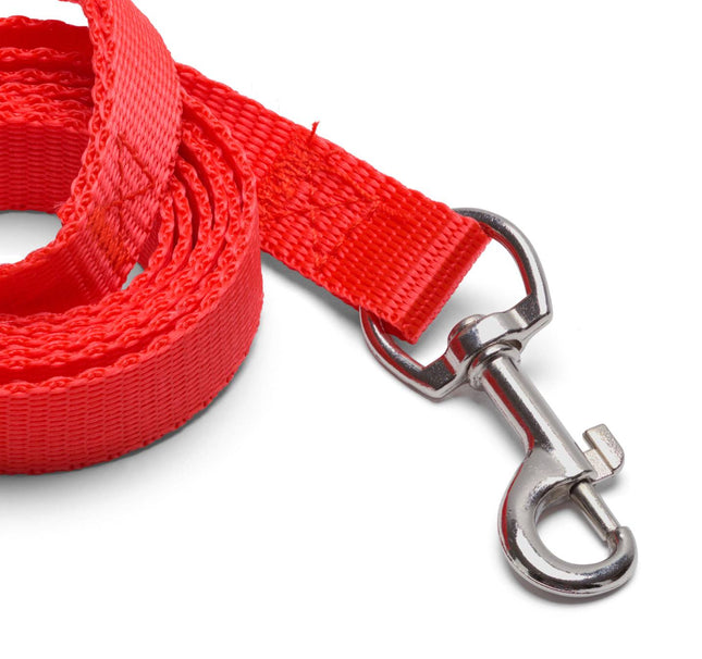 Flashy red leash