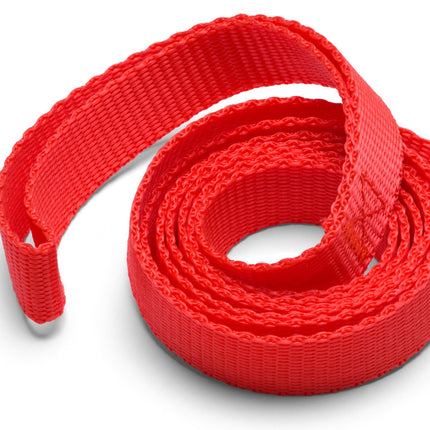Flashy red leash