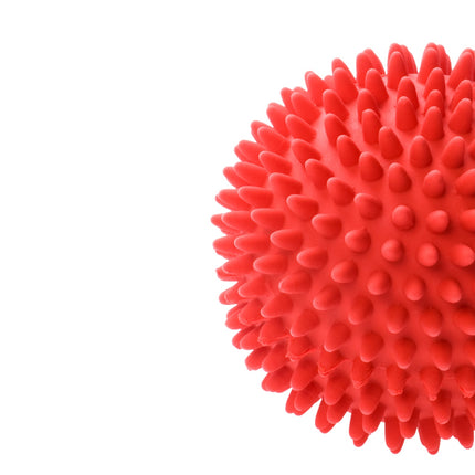 Plastic dog ball