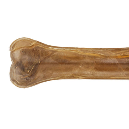 Dog chewing Bones Knotted