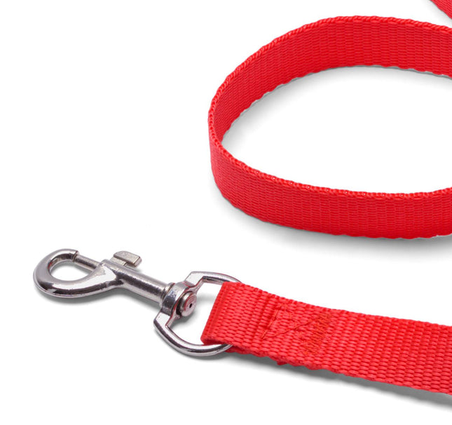 Dog collar red