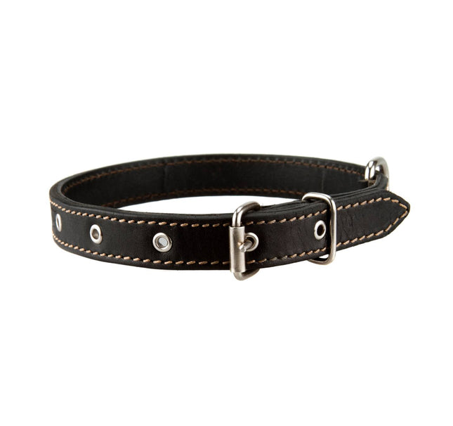 Leather dog collar black