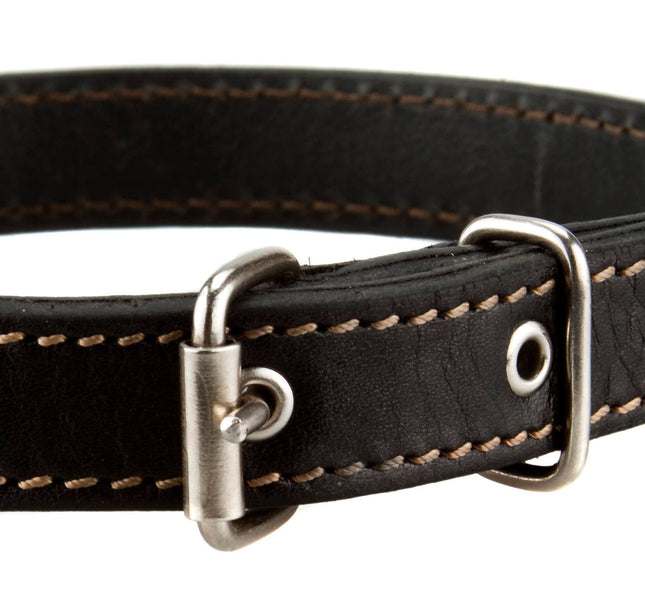 Leather dog collar black