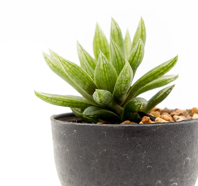 Pot with artificial plant