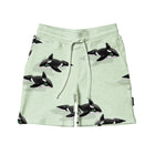 SNURK Orca Green Short Kids