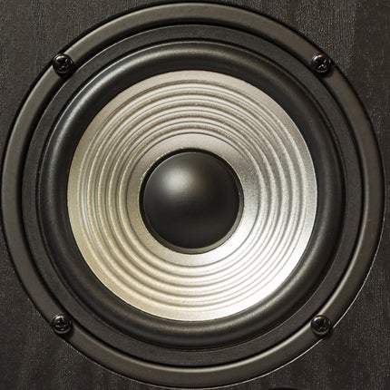 Modern walnut HiFi speaker
