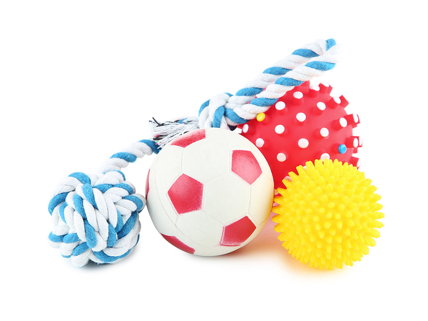 Dog toy