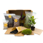 DIY terrarium refill kit with 2/3/4 plants